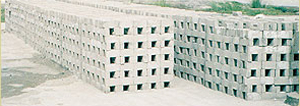 fly ash bricks